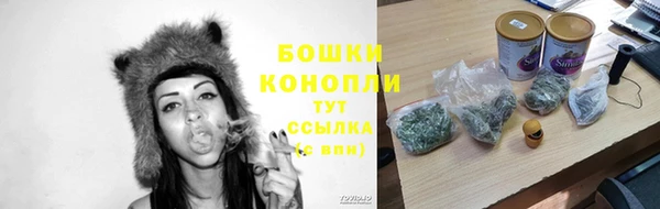 меф Богородицк