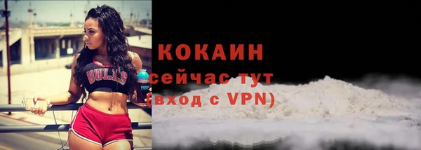 гидра Богородск