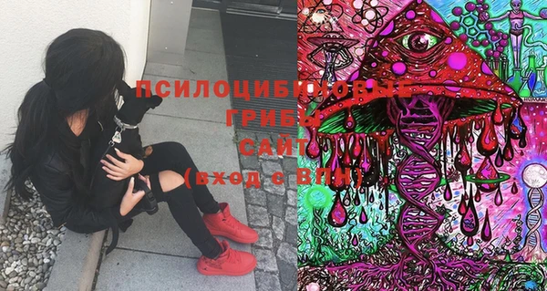 таблы Бородино