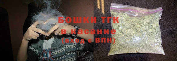 таблы Бородино