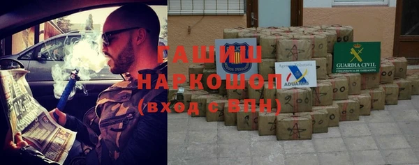 гидра Богородск